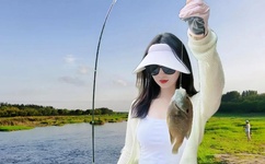 蘑菇视频APP下载安装无限看-丝瓜安卓苏州